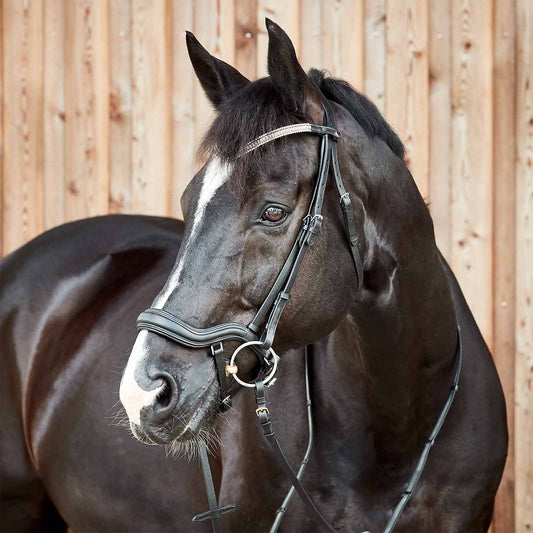 Highbury Anatomical Crystal Dressage Bridle