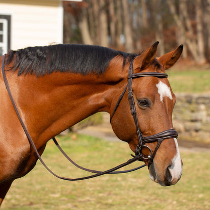 Valkyrie Alternative Flash Bridle with Rubber Reins