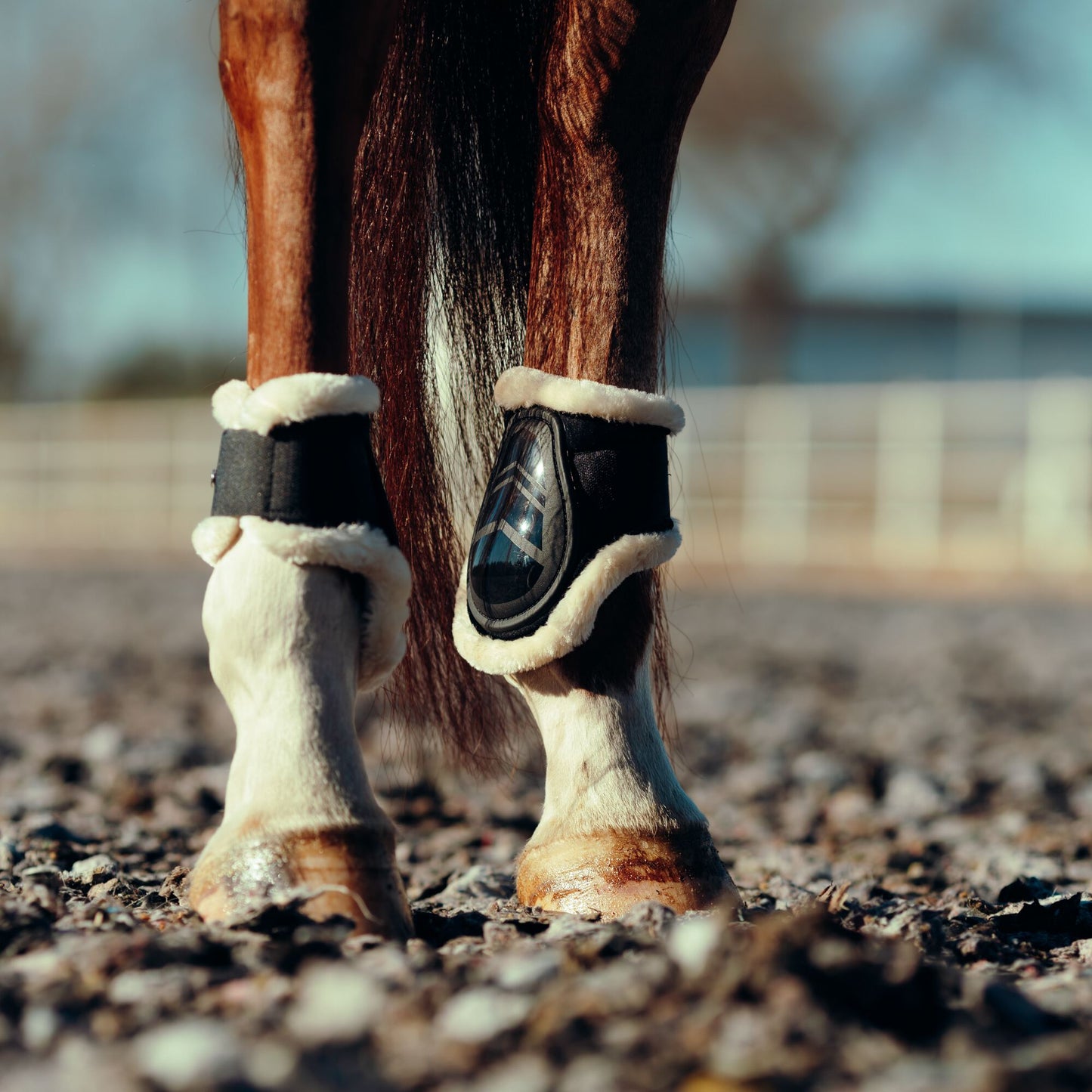 Caliber Fleece Hind Fetlock Boots