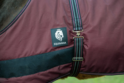 Equinavia Norse Foal Turnout Sheet
