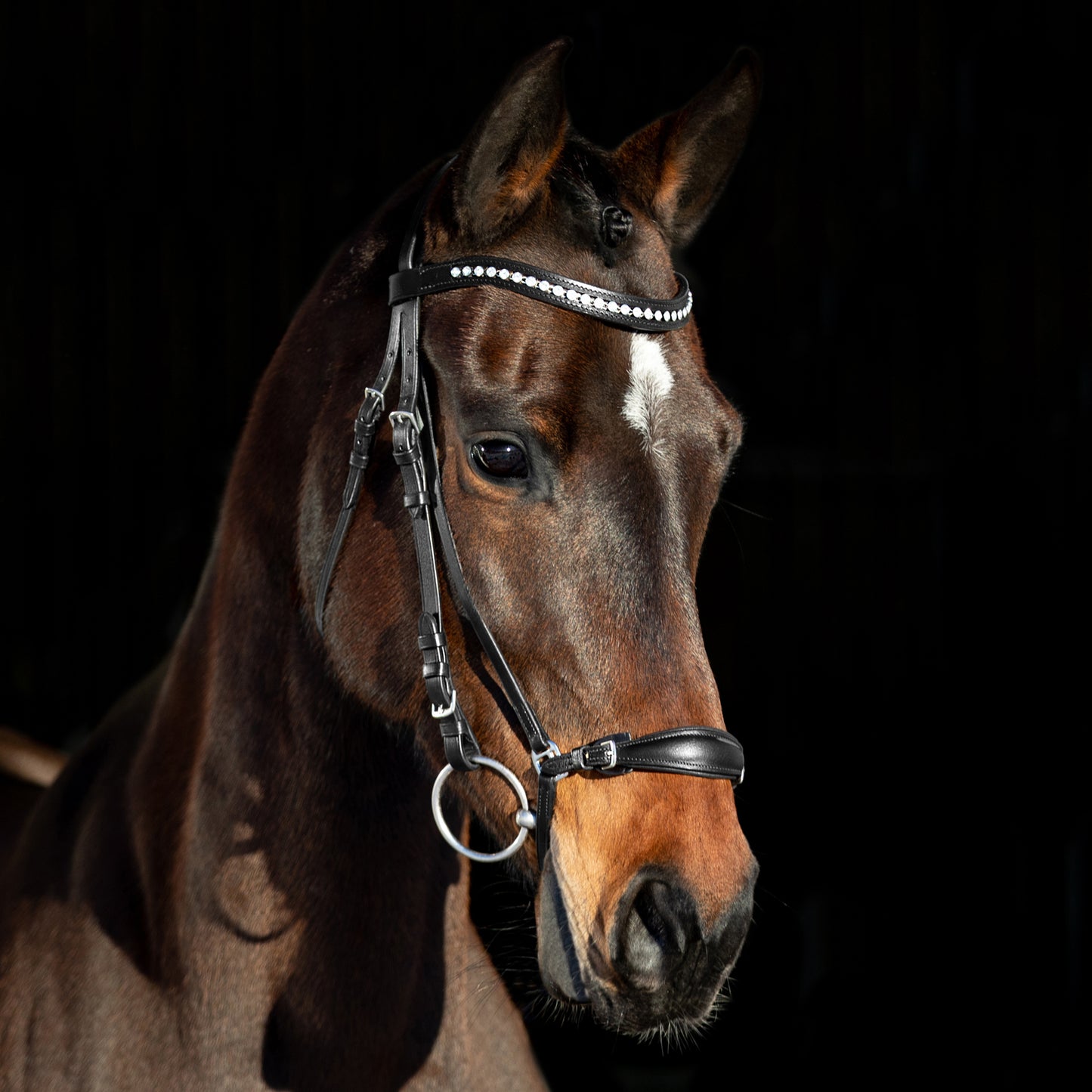 Bergen Leather Remont Bridle