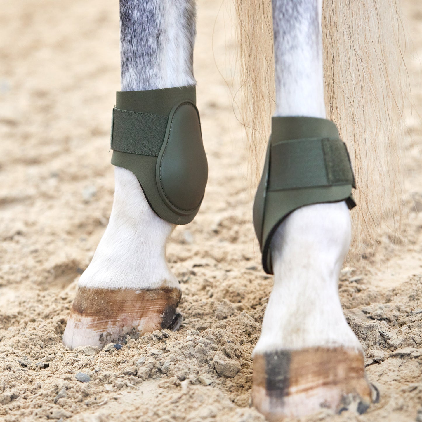 Adepto Fetlock Boots