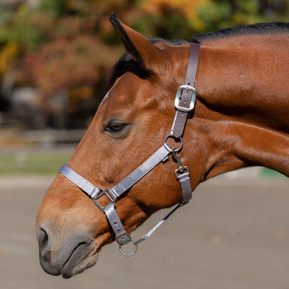 Loki Breakaway Halter