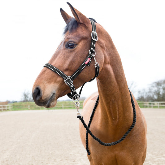 Cooper Halter with Lead Rope