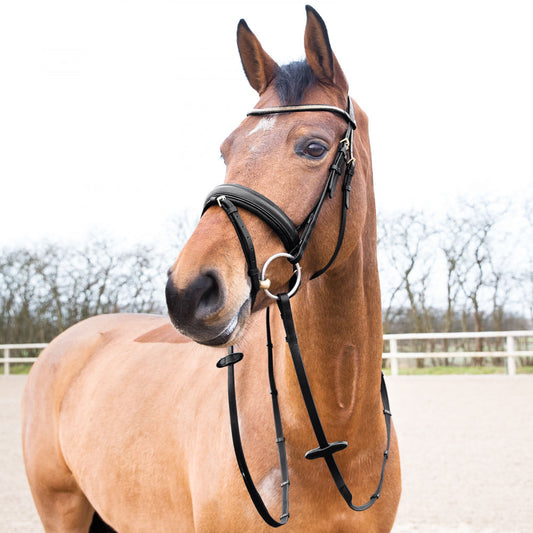 Lester Dressage Snaffle Bridle w/ Reins