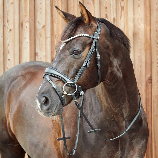 Somerset Fancy Show Bridle