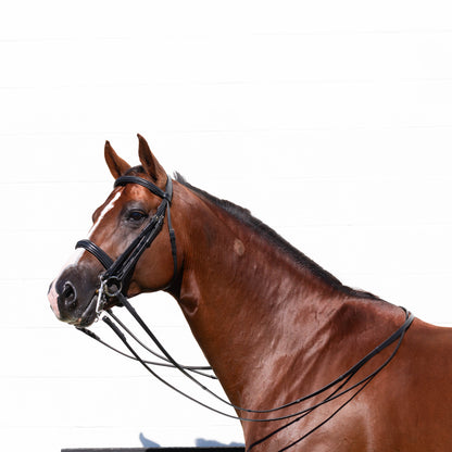 Saga Double Bridle w/ Reins