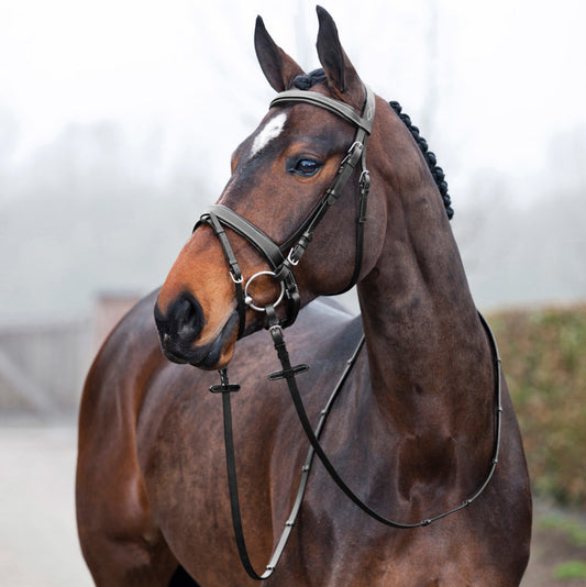 Venice Soft Padded Bridle w/ Reins