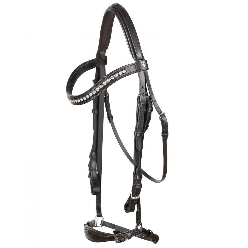 Bergen Leather Remont Bridle