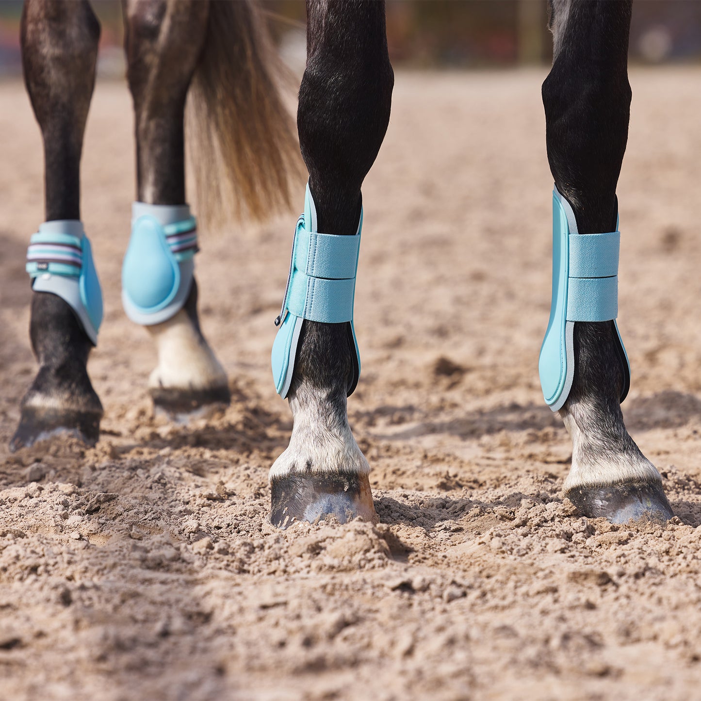 Adepto Fetlock Boots