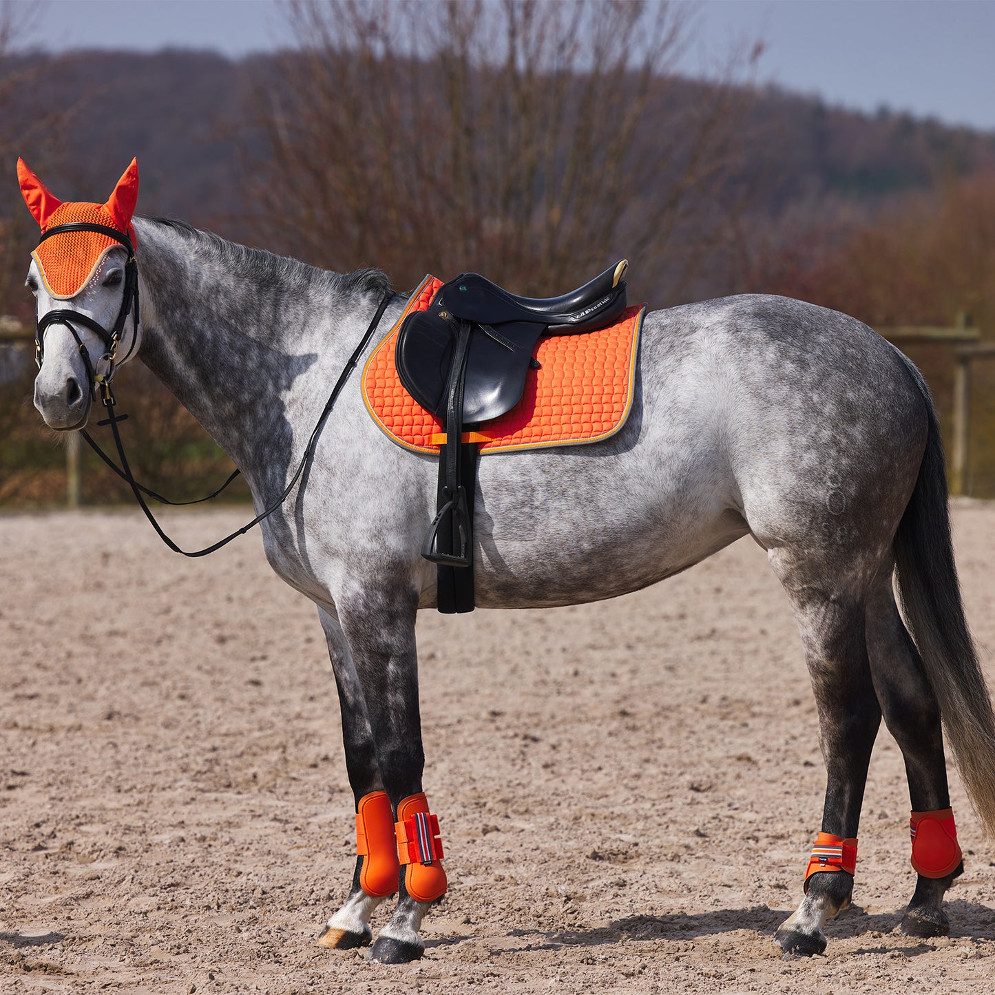 Horze Adepto Fetlock Boots