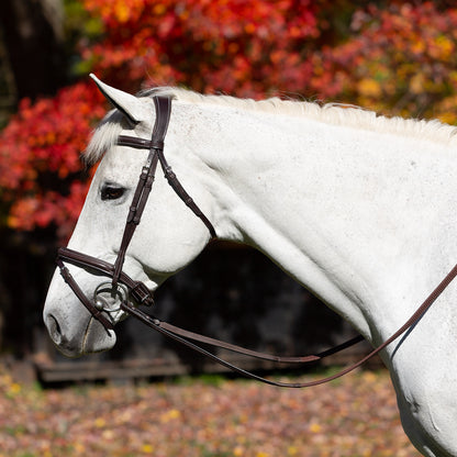 Valkyrie Flash Bridle & Rubber Reins