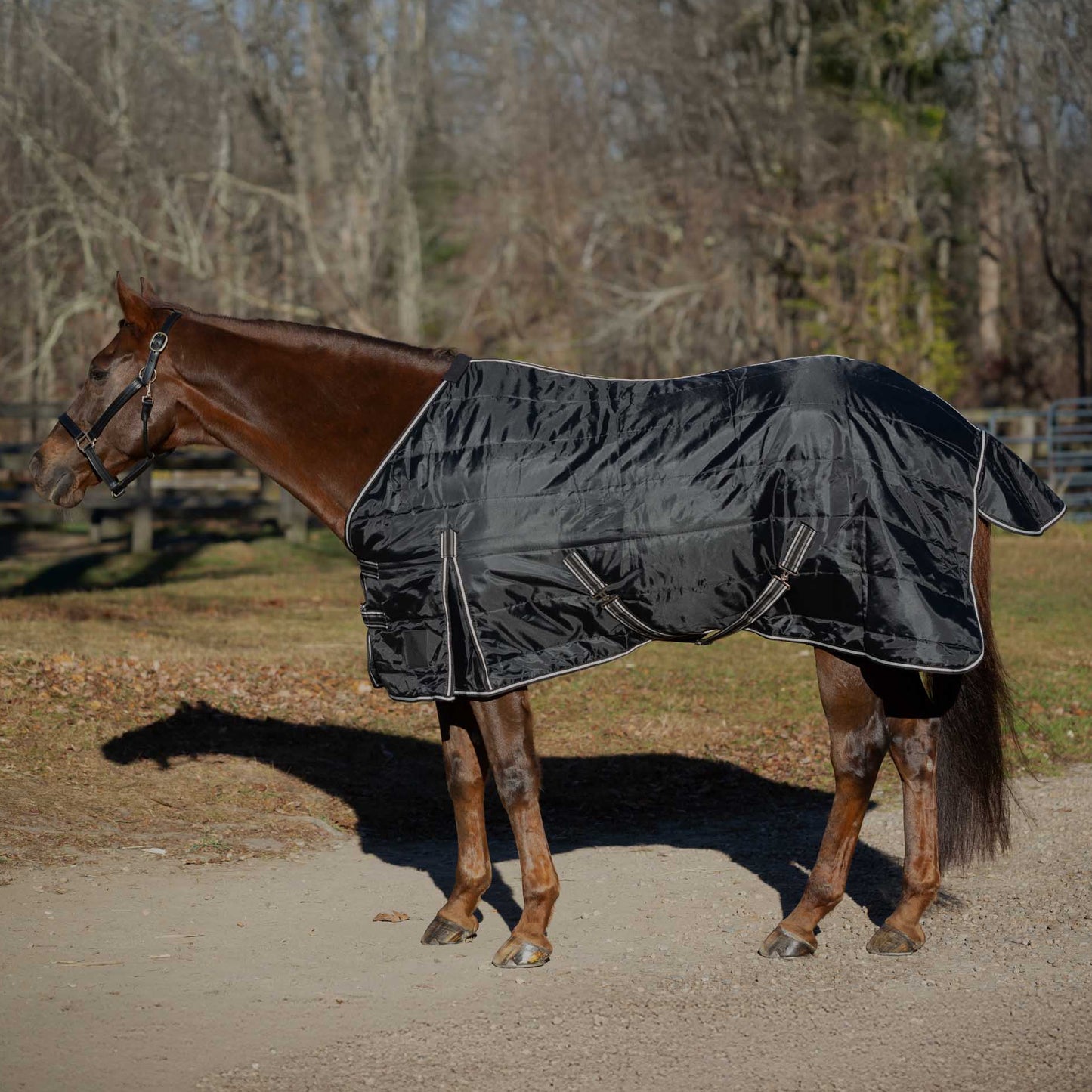 Norse Gusseted Stable Blanket 100g/200g