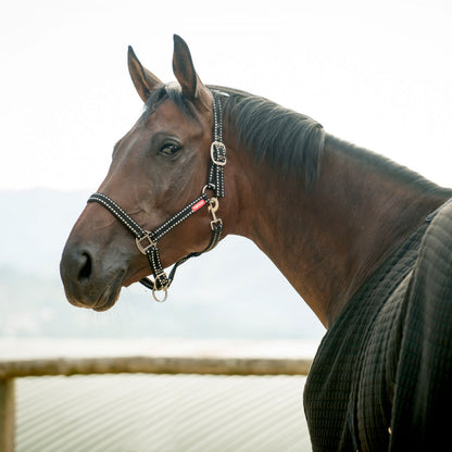 Cooper Halter with Lead Rope