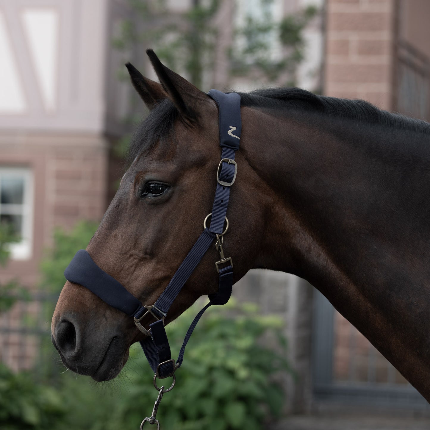 Graz Fleece Padded Halter