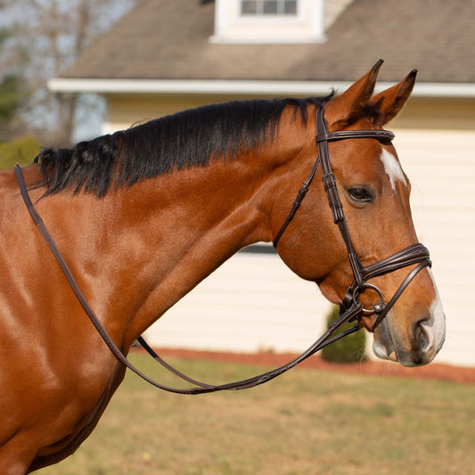 Valkyrie Anatomic Jumper Bridle with Rubber Reins