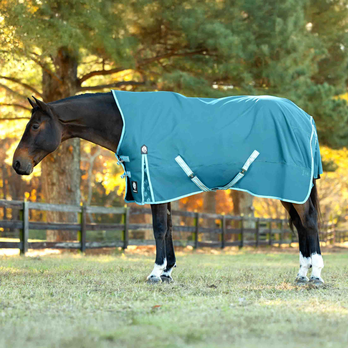 Equinavia Arktis Extended Neck Mid Weight Turnout Blanket 200g