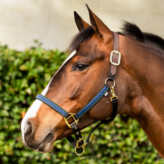 Pegasus Ribbon Breakaway Halter