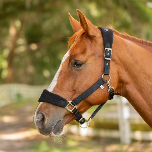 Saga Fleece Padded Breakaway Halter