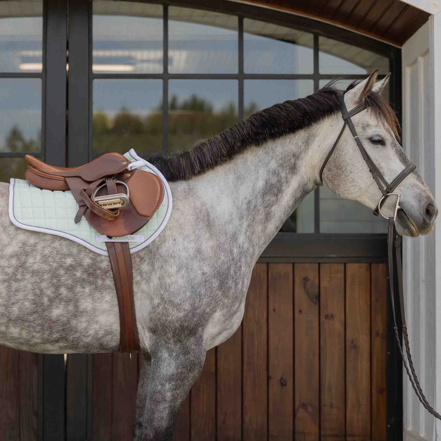 Svalbard Pony Saddle Pad with NordicAir™ Tech