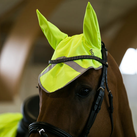 Reflective Ear Net