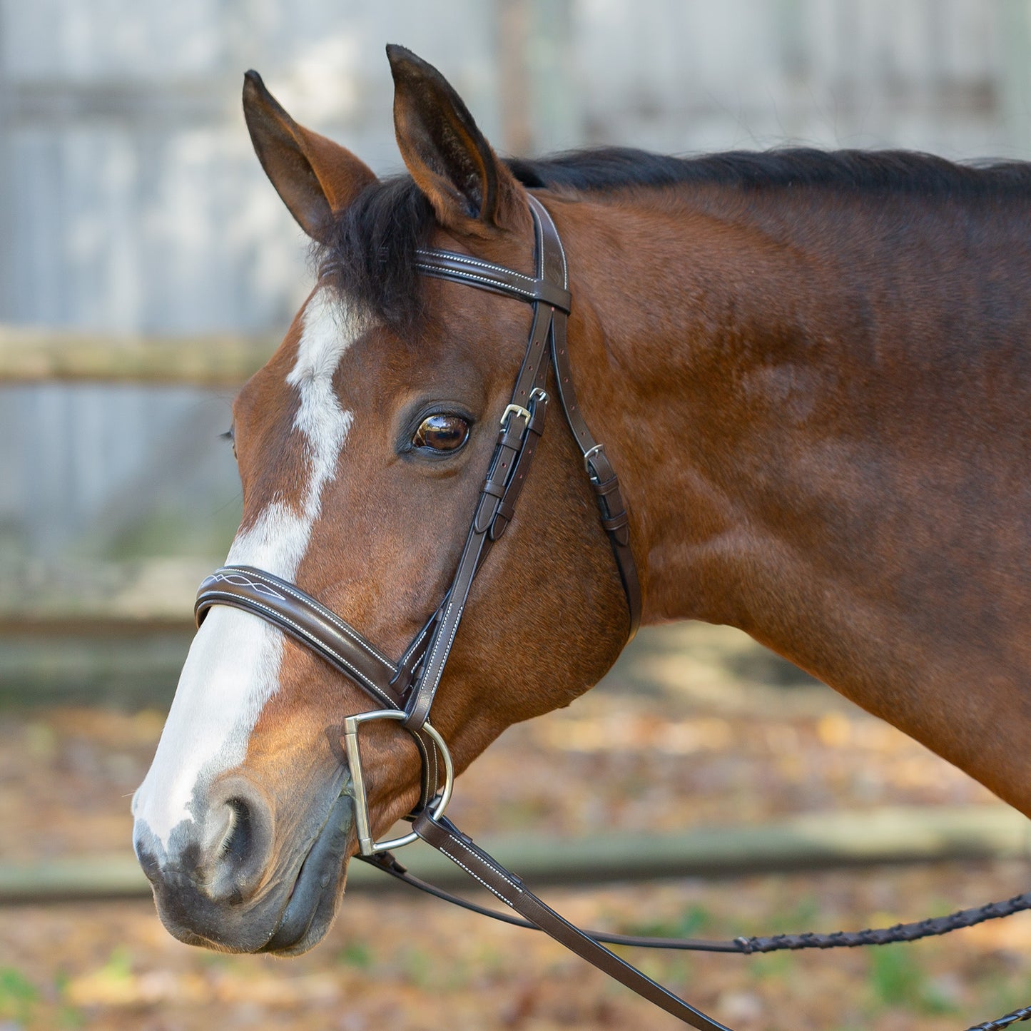 Saga Wide Noseband Hunter Bridle with Reins