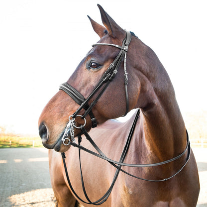 Vienna Weymouth Dressage Bridle