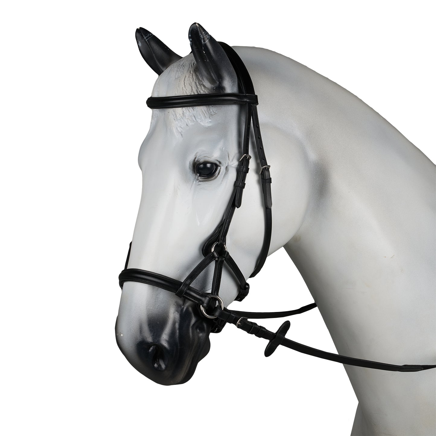 Denver Bitless Bridle