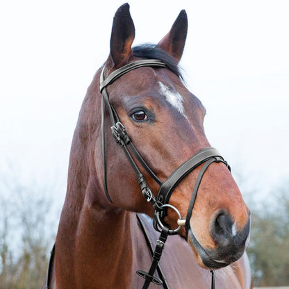 Venice Soft Padded Bridle w/ Reins