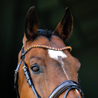 Clermont Ergonomic Crystal Bridle