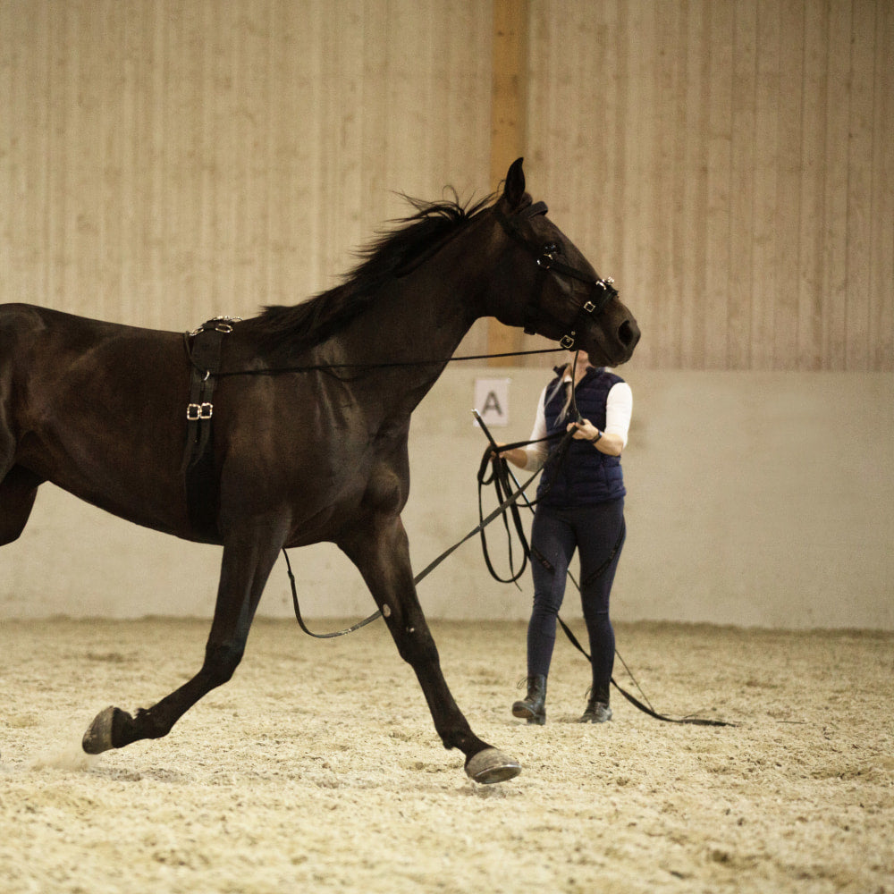 Nylon Lunging Cavesson