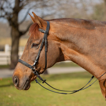 Saga Bitless Bridle