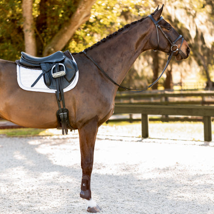 Saga Padded Dressage Bridle & Reins