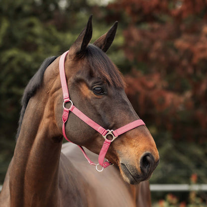 Rose Tonique Halter