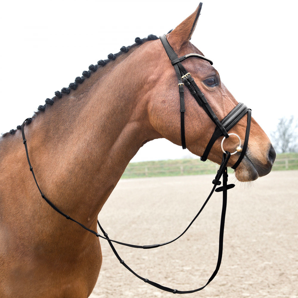 Lester Dressage Snaffle Bridle w/ Reins