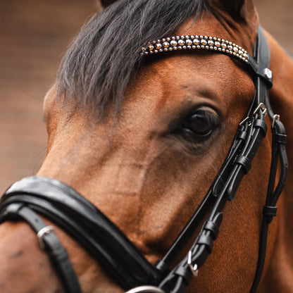 St. Moritz Curved Crystal Browband