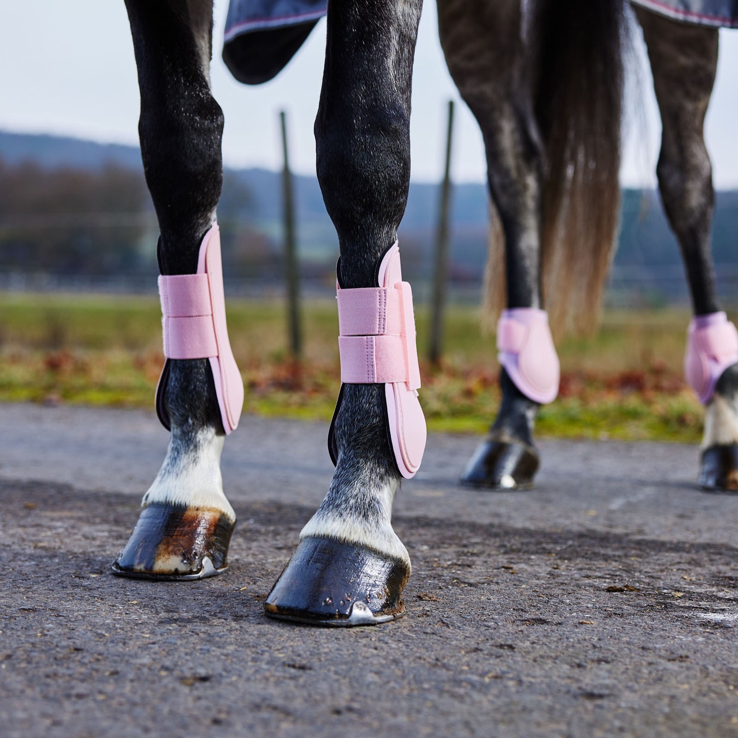 Chicago Tendon Open Front Horse Boots