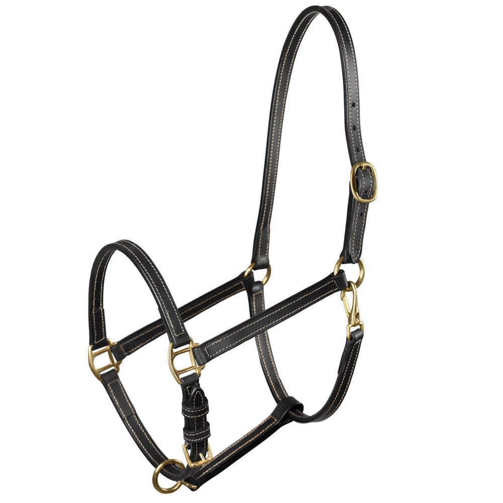 Fremont Leather Horse Halter