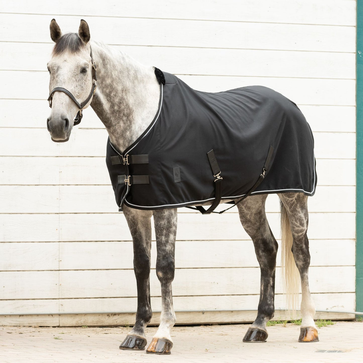 Vind Stable Sheet