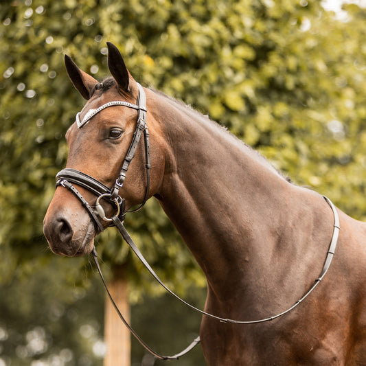 Grayson Classic Dressage Ergonomic Bridle