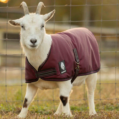 Equinavia Norse Waterproof Goat Coat 200g