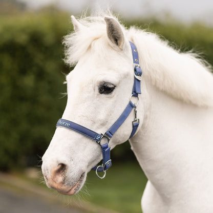 Rising Star Halter and Lead Set