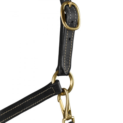 Fremont Leather Horse Halter