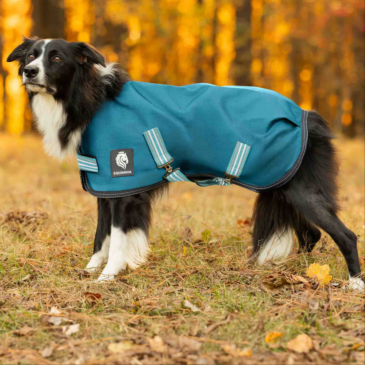 Equinavia Arktis Dog Turnout Blanket 200g