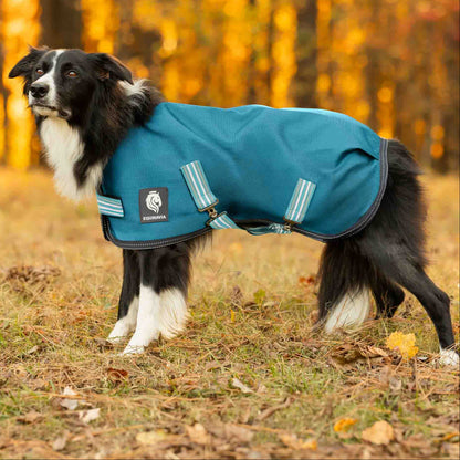 Equinavia Arktis Dog Turnout Blanket 200g