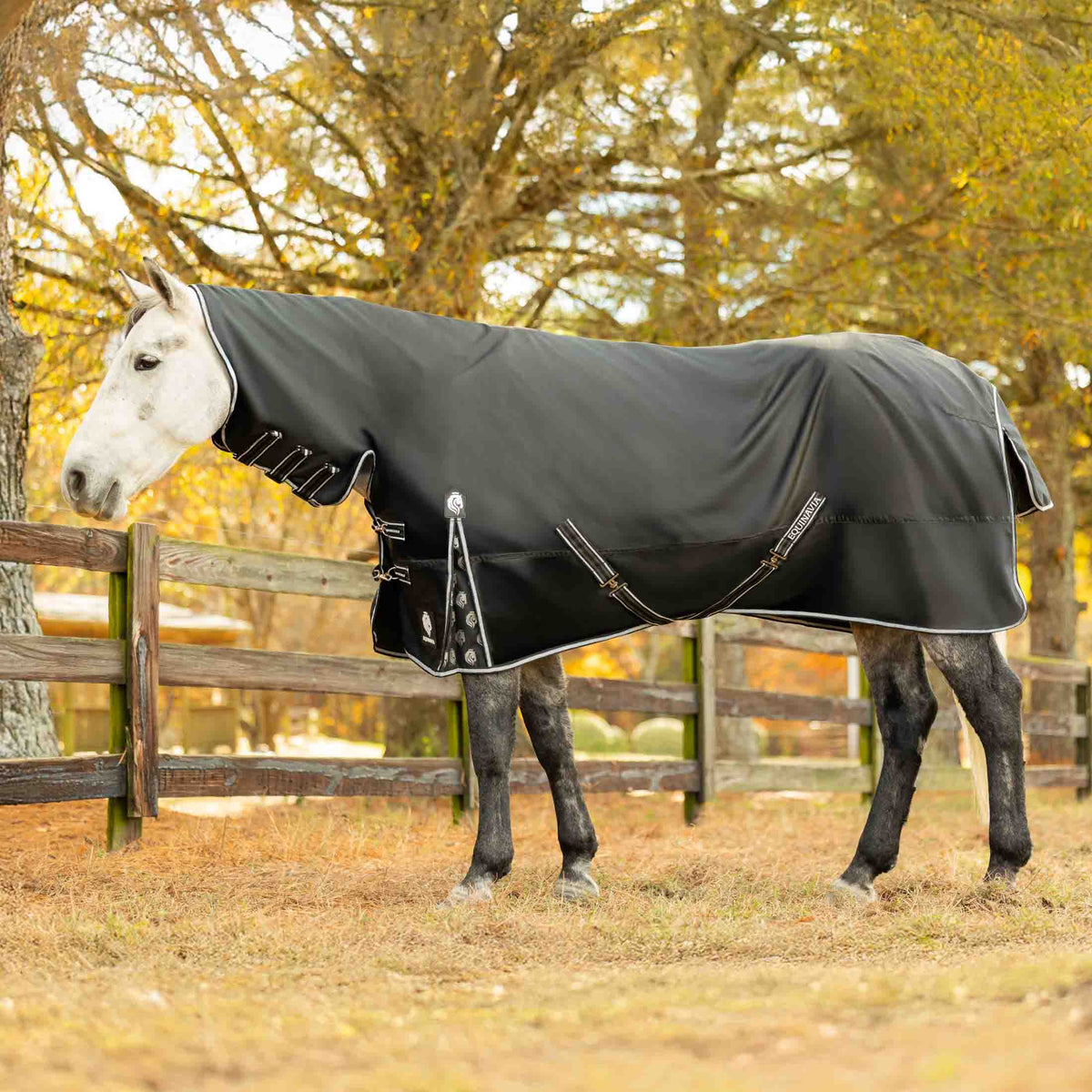 Equinavia Norse Full Neck Turnout Blanket 200g