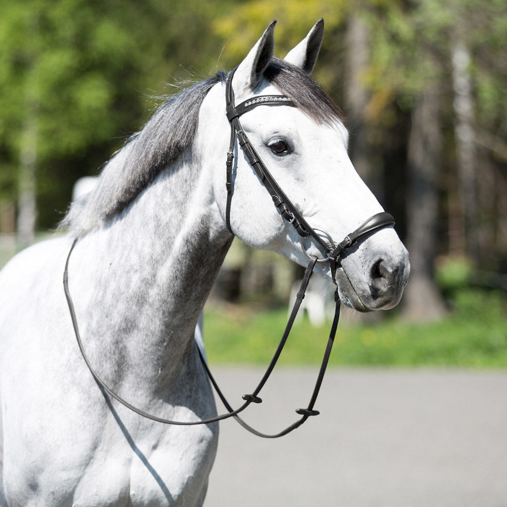 Bergen Leather Remont Bridle