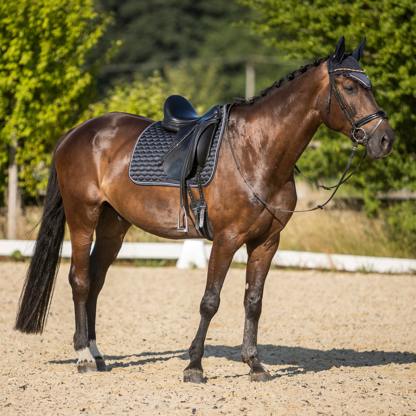 Sandnes Dressage Saddle Pad