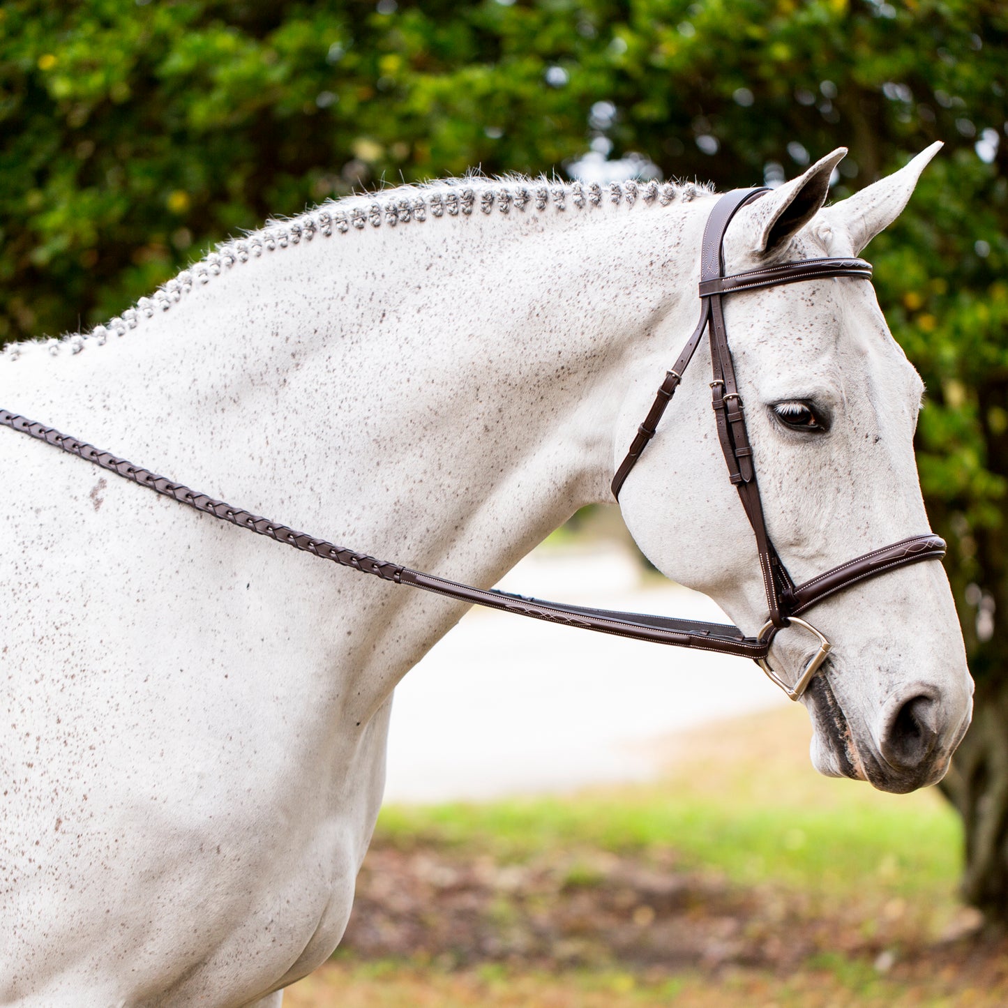 Valkyrie Fancy Stitched Hunter Bridle & Reins