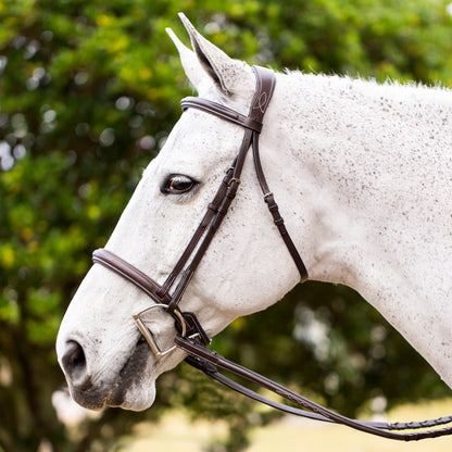 Valkyrie Fancy Stitched Hunter Bridle & Reins